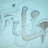xFilipx180 的头像