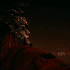 Avatar for twinpeaksost