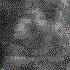 Avatar for Sorgnatt