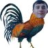 Avatar for Dj Aleks Bars
