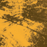 Avatar for genericqueso