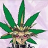 Avatar für Ninininiels
