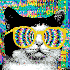 Avatar für frch_fuzz