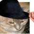 Avatar di stitu