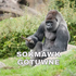 Deniz_Donmez 的头像