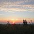 Relaxing Sounds Of Nature のアバター