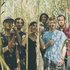 Avatar für Pinegrove