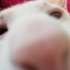 Awatar dla that_trans_cat
