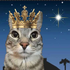 Avatar for Kojuukaas
