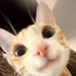 Avatar for namolang