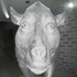 Avatar for Arthur_F22