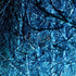 Avatar de wavelenghts