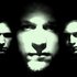 Avatar for Fractal Discovery