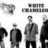 Avatar for White Chameleon