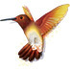 Avatar for Hummingbird100