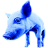 Avatar for altblue