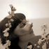 Avatar for wien_julia
