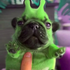 papyyo için avatar