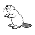 baffling_beaver さんのアバター