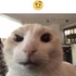 sawyerxd 的头像