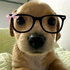 Avatar for sdfghlu