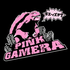 Avatar for PinkGamera