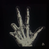 Avatar de notbabyray_