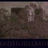 Deadhorsemort 的头像