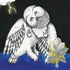 Avatar for lukehereand