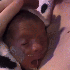 GEEEEEEEENAAAA 的头像