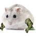 Avatar for Bateman_P