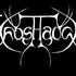 Frosthauch 的头像