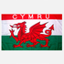 Avatar for welsh-rastaman