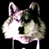 Avatar de BottledWolf