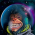 Avatar for thrustypelvis