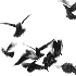 Avatar for sirojga