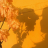 Avatar for Sieara-