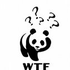 Avatar di jansq
