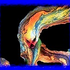 Avatar di sadness56