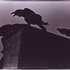 Avatar für panneta