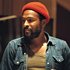 Avatar for Marvin Gaye