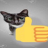 cuckalys için avatar