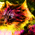 Avatar for poisoned_mouse