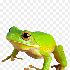 Avatar de Da_frog3