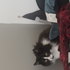 BatsnCats05 的头像