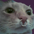 Avatar for EduRenesto