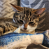 Avatar for brettetet