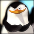Avatar for X4mber