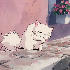 clovercandi 的头像