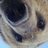 bearyannoyed 的头像